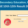 RBSE Result 2025 Live Updates: Rajasthan Board class 10th, 12th results Check at rajresults.nic.in
