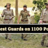 Recruitment process of forest guards on 1100 posts will start soon, permission sought from the state government